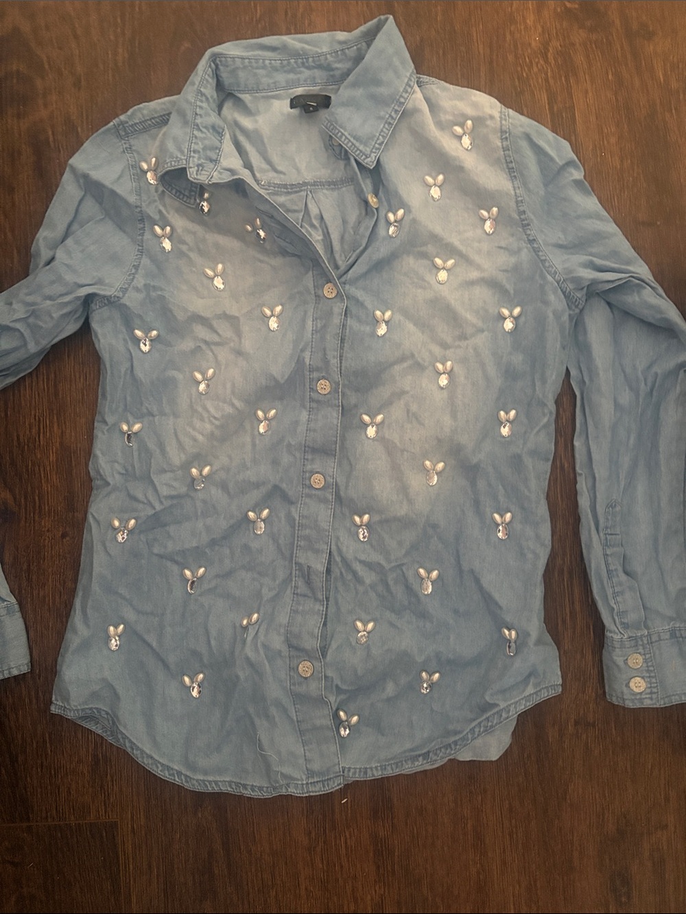 Hannah Light Blue Embellished Button-Down Shirt